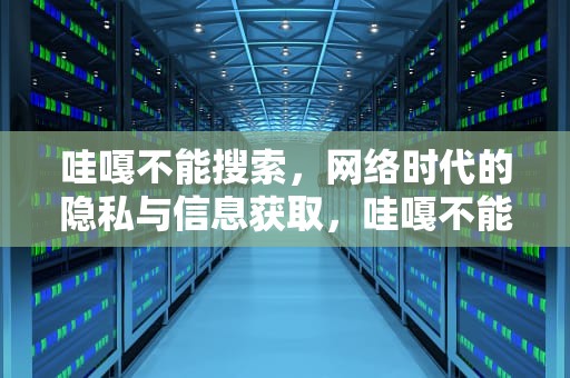 哇嘎不能搜索，网络时代的隐私与信息获取，哇嘎不能搜索怎么办