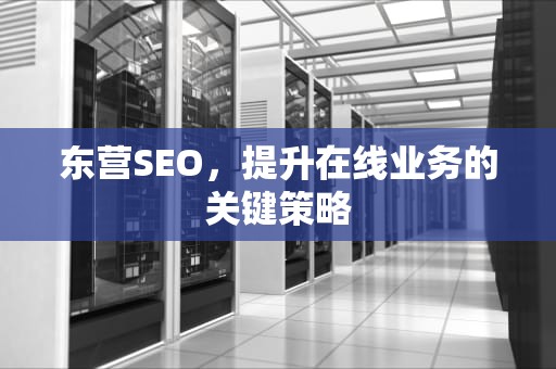 东营SEO，提升在线业务的关键策略