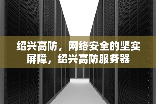 绍兴高防，网络安全的坚实屏障，绍兴高防服务器
