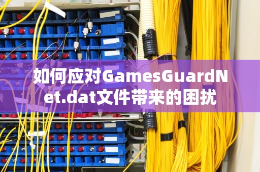 如何应对GamesGuardNet.dat文件带来的困扰