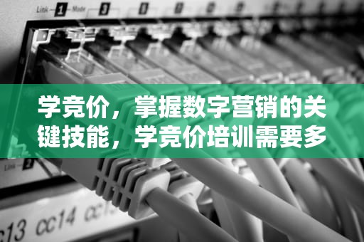 学竞价，掌握数字营销的关键技能，学竞价培训需要多少钱