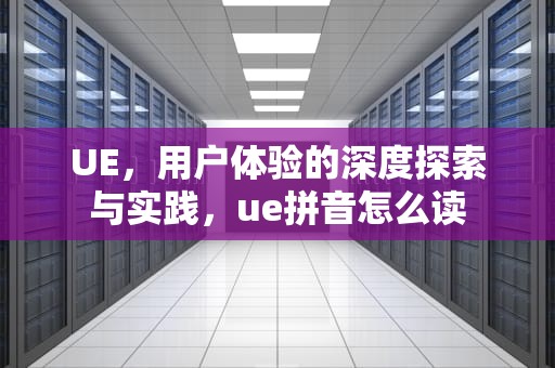 UE，用户体验的深度探索与实践，ue拼音怎么读