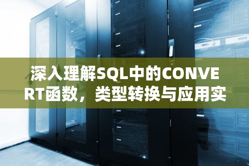 深入理解SQL中的CONVERT函数，类型转换与应用实践，SQl CONVERT 函数