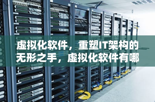虚拟化软件，重塑IT架构的无形之手，虚拟化软件有哪些