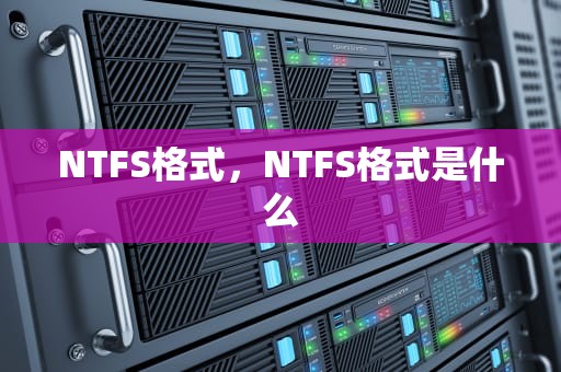NTFS格式，NTFS格式是什么