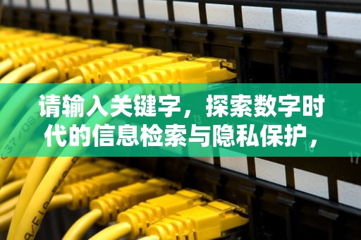 请输入关键字，探索数字时代的信息检索与隐私保护，请输入关键字是什么意思