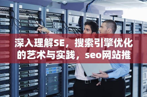 深入理解SE，搜索引擎优化的艺术与实践，seo网站推广