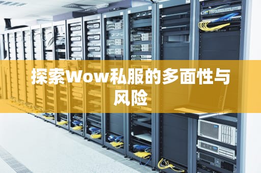 探索Wow私服的多面性与风险