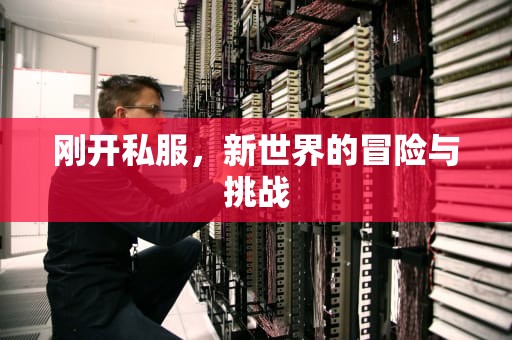 刚开私服，新世界的冒险与挑战