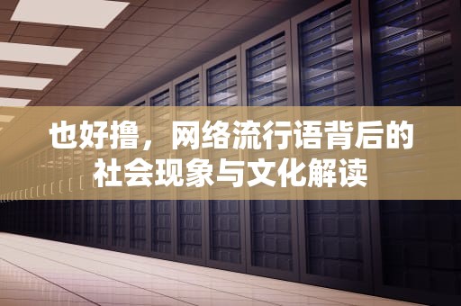 也好撸，网络流行语背后的社会现象与文化解读