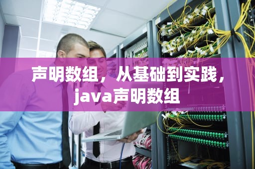 声明数组，从基础到实践，java声明数组