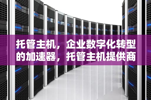 托管主机，企业数字化转型的加速器，托管主机提供商