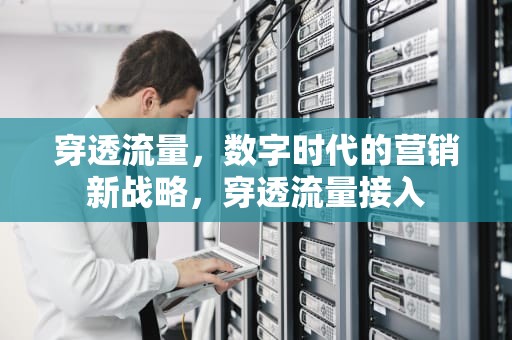 穿透流量，数字时代的营销新战略，穿透流量接入
