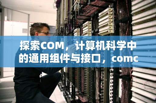 探索COM，计算机科学中的通用组件与接口，comcom英语培训
