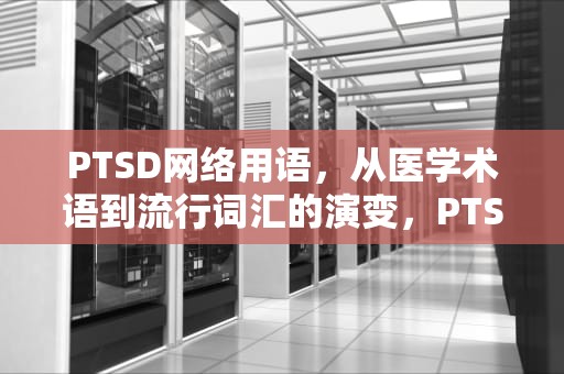 PTSD网络用语，从医学术语到流行词汇的演变，PTSD网络用语是什么意思