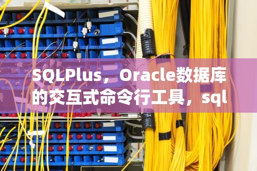 SQLPlus，Oracle数据库的交互式命令行工具，sqlplus执行sql脚本