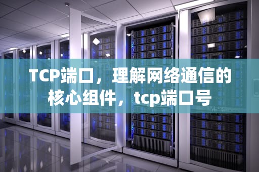 TCP端口，理解网络通信的核心组件，tcp端口号