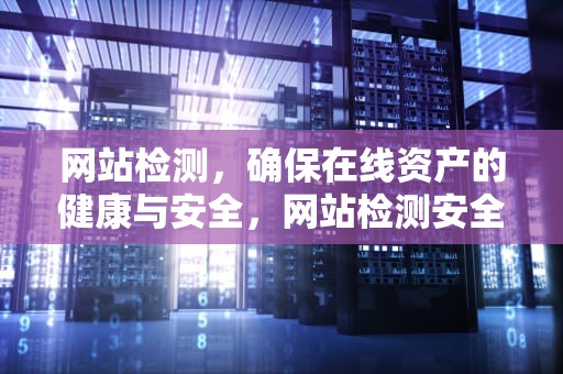 网站检测，确保在线资产的健康与安全，网站检测安全