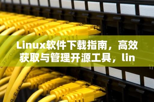 Linux软件下载指南，高效获取与管理开源工具，linux版软件