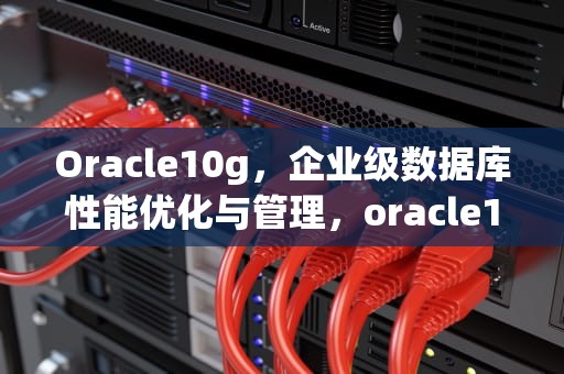 Oracle10g，企业级数据库性能优化与管理，oracle10g安装教程