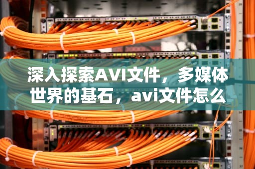 深入探索AVI文件，多媒体世界的基石，avi文件怎么转换成视频