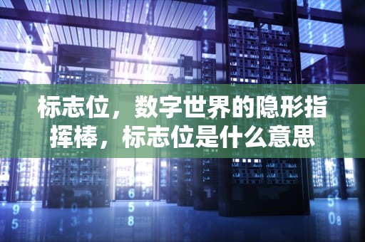 标志位，数字世界的隐形指挥棒，标志位是什么意思