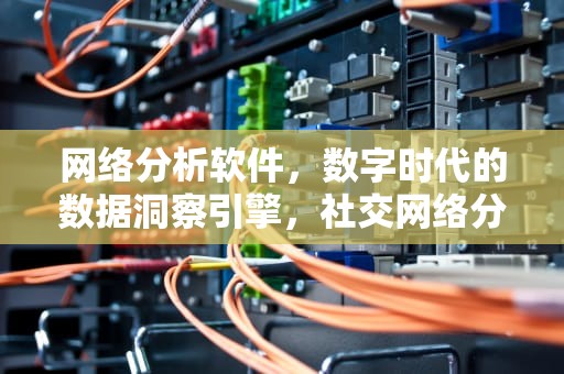 网络分析软件，数字时代的数据洞察引擎，社交网络分析软件