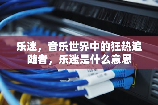 乐迷，音乐世界中的狂热追随者，乐迷是什么意思
