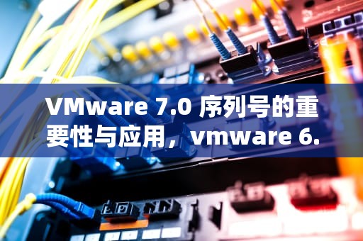VMware 7.0 序列号的重要性与应用，vmware 6.0 序列号
