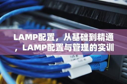 LAMP配置，从基础到精通，LAMP配置与管理的实训内容