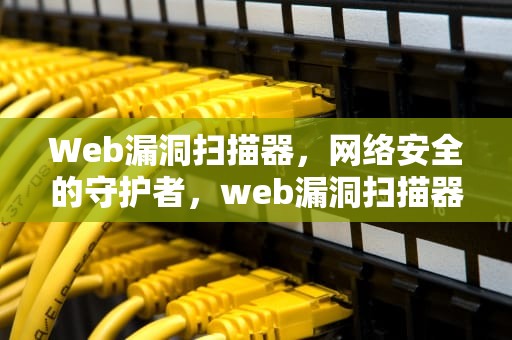 Web漏洞扫描器，网络安全的守护者，web漏洞扫描器编写