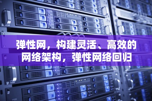 弹性网，构建灵活、高效的网络架构，弹性网络回归