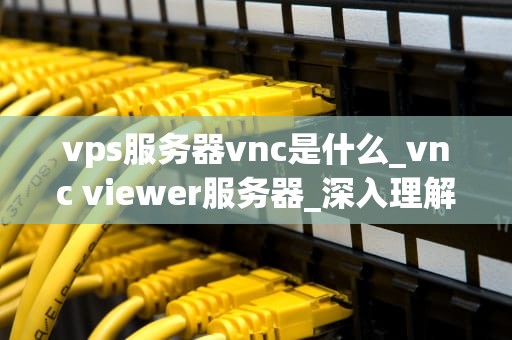 vps服务器vnc是什么_vnc viewer服务器_深入理解VPS服务器与VNC