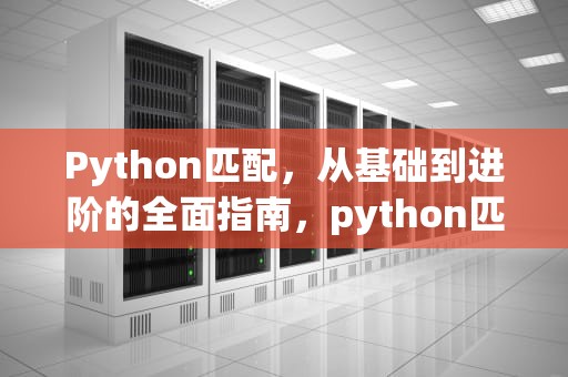 Python匹配，从基础到进阶的全面指南，python匹配以什么开头以什么结尾
