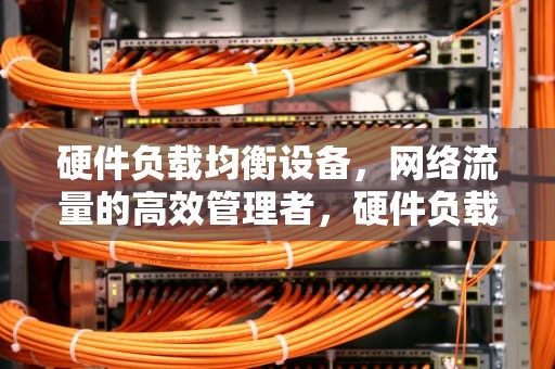硬件负载均衡设备，网络流量的高效管理者，硬件负载均衡设备有哪些