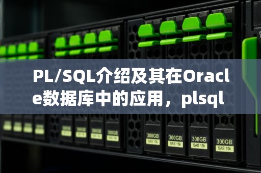 PL/SQL介绍及其在Oracle数据库中的应用，plsql developer