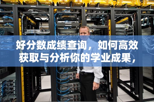 好分数成绩查询，如何高效获取与分析你的学业成果，好分数成绩查询网入口