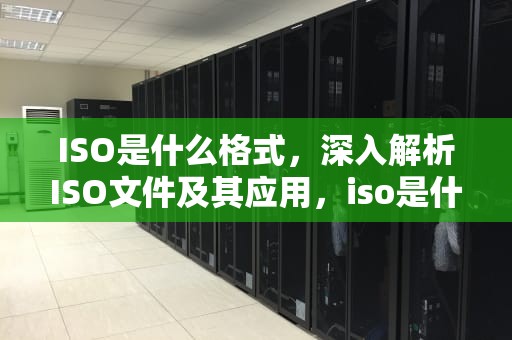 ISO是什么格式，深入解析ISO文件及其应用，iso是什么格式的文件怎么打开