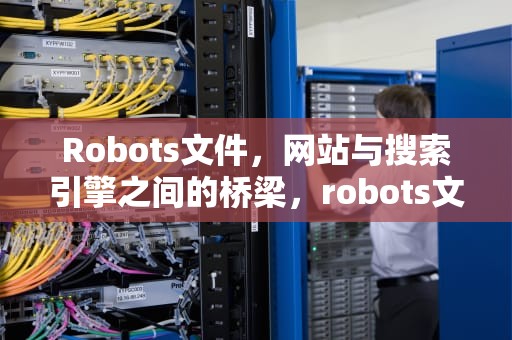 Robots文件，网站与搜索引擎之间的桥梁，robots文件在线生成