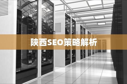 陕西SEO策略解析