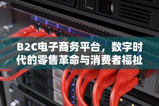 B2C电子商务平台，数字时代的零售革命与消费者福祉，b2c电子商务平台有哪些