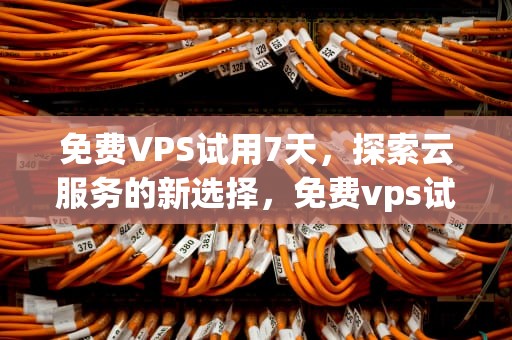 免费VPS试用7天，探索云服务的新选择，免费vps试用7天外网