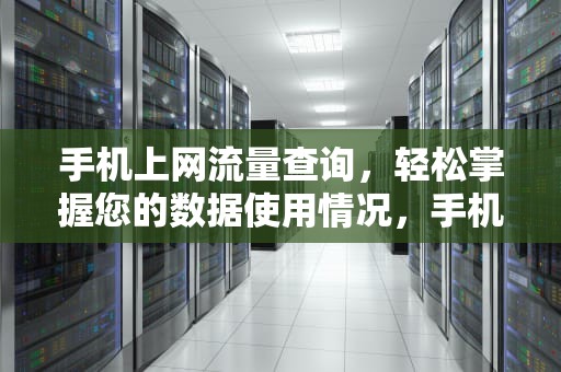 手机上网流量查询，轻松掌握您的数据使用情况，手机上网流量查询怎么查