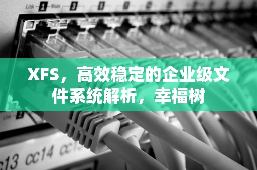 XFS，高效稳定的企业级文件系统解析，幸福树