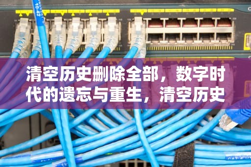 清空历史删除全部，数字时代的遗忘与重生，清空历史删除全部记录