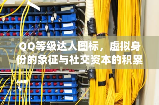 QQ等级达人图标，虚拟身份的象征与社交资本的积累，qq等级达人图标怎么点亮