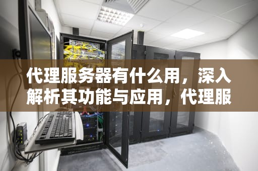 代理服务器有什么用，深入解析其功能与应用，代理服务器有什么用途
