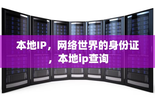 本地IP，网络世界的身份证，本地ip查询