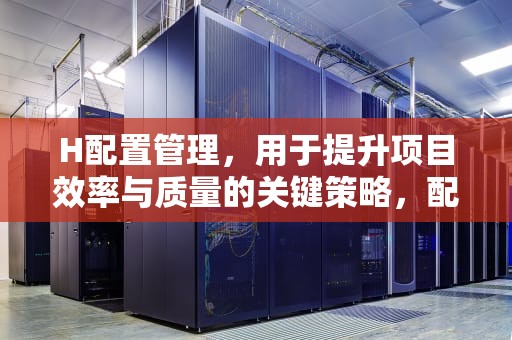H配置管理，用于提升项目效率与质量的关键策略，配置管理主要用于
