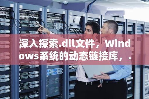 深入探索.dll文件，Windows系统的动态链接库，.dll是什么文件